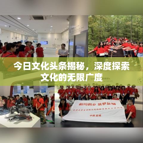 坌鳥(niǎo)先飛 第3頁(yè)