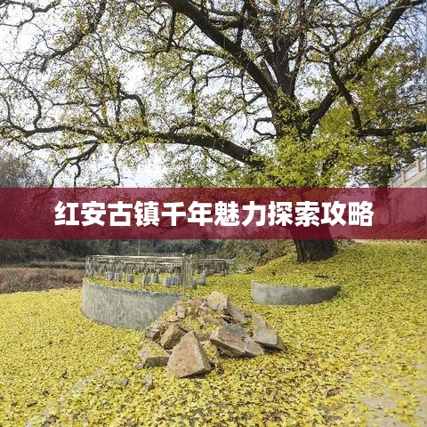 紅安古鎮(zhèn)千年魅力探索攻略