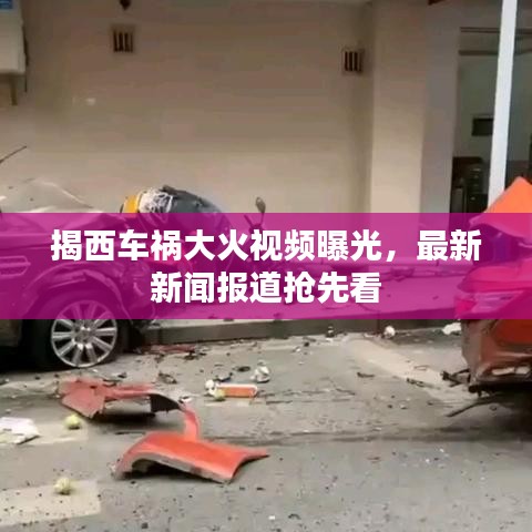 曇花一現(xiàn) 第3頁