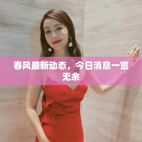 春風(fēng)最新動態(tài)，今日消息一覽無余