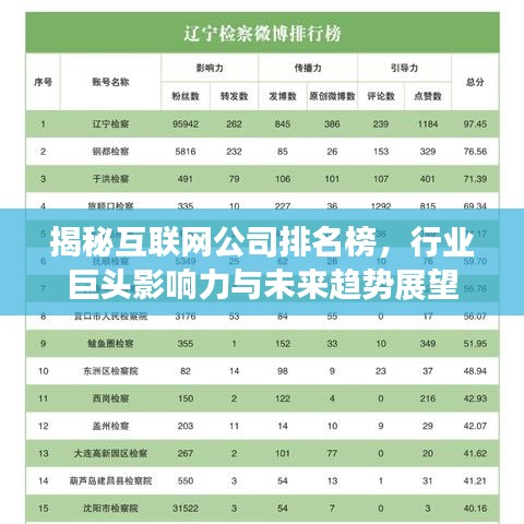 揭秘互聯(lián)網(wǎng)公司排名榜，行業(yè)巨頭影響力與未來趨勢展望