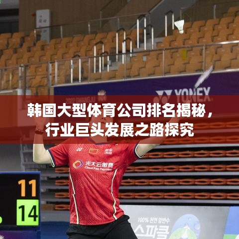 韓國大型體育公司排名揭秘，行業(yè)巨頭發(fā)展之路探究