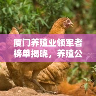 廈門養(yǎng)殖業(yè)領(lǐng)軍者榜單揭曉，養(yǎng)殖公司排名一覽