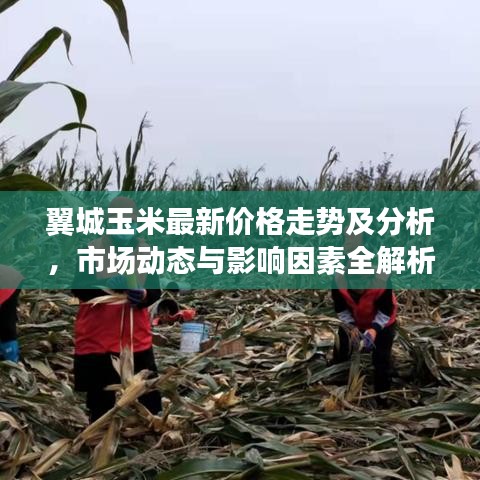 逸興遄飛 第3頁(yè)
