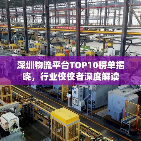 深圳物流平臺(tái)TOP10榜單揭曉，行業(yè)佼佼者深度解讀