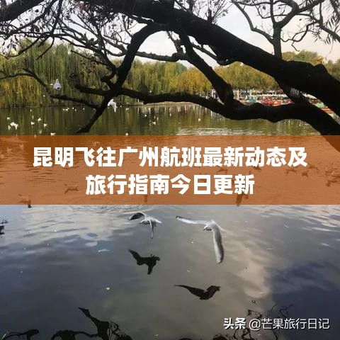 昆明飛往廣州航班最新動(dòng)態(tài)及旅行指南今日更新