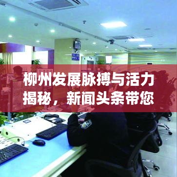 柳州發(fā)展脈搏與活力揭秘，新聞?lì)^條帶您洞察城市變遷