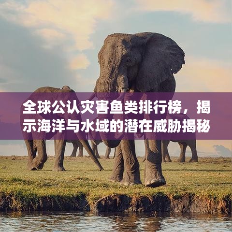 全球公認災(zāi)害魚類排行榜，揭示海洋與水域的潛在威脅揭秘