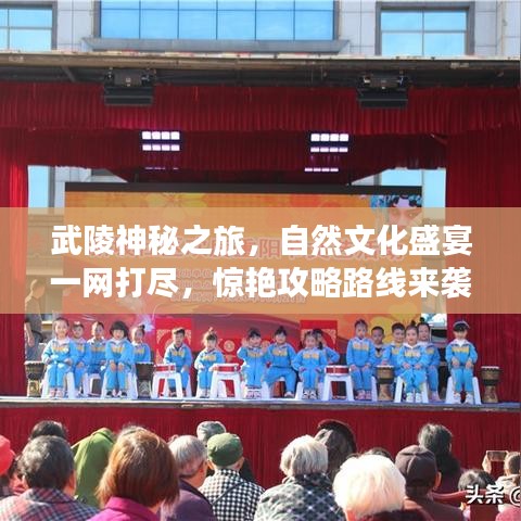 束手就縛 第3頁(yè)