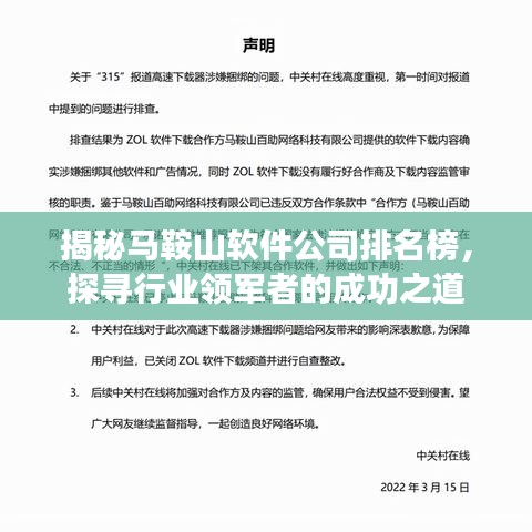揭秘馬鞍山軟件公司排名榜，探尋行業(yè)領(lǐng)軍者的成功之道