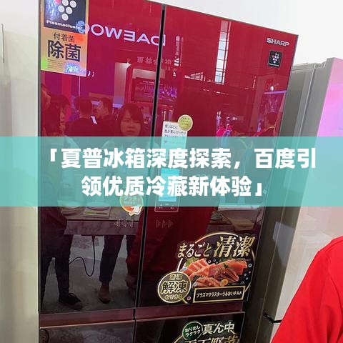 「夏普冰箱深度探索，百度引領(lǐng)優(yōu)質(zhì)冷藏新體驗」