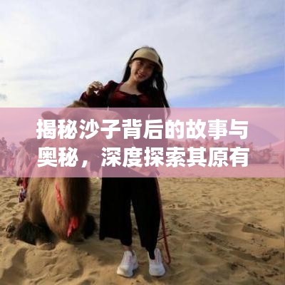 揭秘沙子背后的故事與奧秘，深度探索其原有沙世界