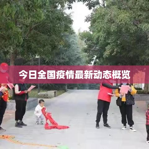 今日全國疫情最新動態(tài)概覽