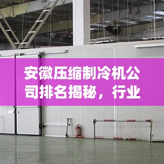 安徽壓縮制冷機公司排名揭秘，行業(yè)影響力不容小覷