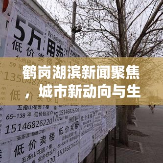 鶴崗湖濱新聞聚焦，城市新動(dòng)向與生活亮點(diǎn)一網(wǎng)打盡