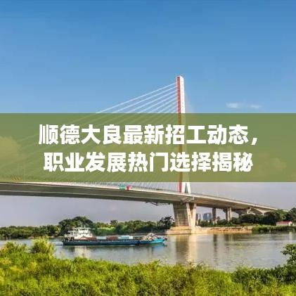 順德大良最新招工動態(tài)，職業(yè)發(fā)展熱門選擇揭秘