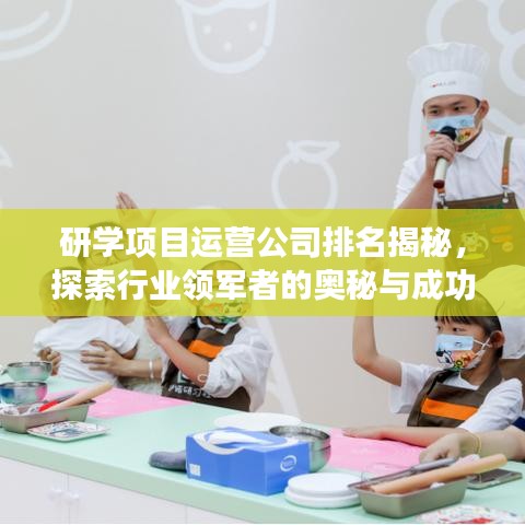 研學項目運營公司排名揭秘，探索行業(yè)領軍者的奧秘與成功之道