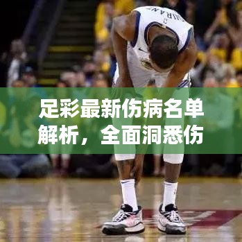 足彩最新傷病名單解析，全面洞悉傷員動態(tài)與應(yīng)對策略！