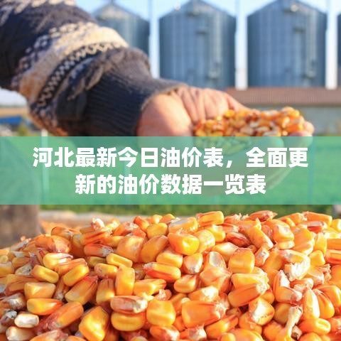 河北最新今日油價表，全面更新的油價數(shù)據(jù)一覽表