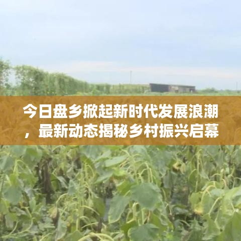 今日盤(pán)鄉(xiāng)掀起新時(shí)代發(fā)展浪潮，最新動(dòng)態(tài)揭秘鄉(xiāng)村振興啟幕時(shí)刻