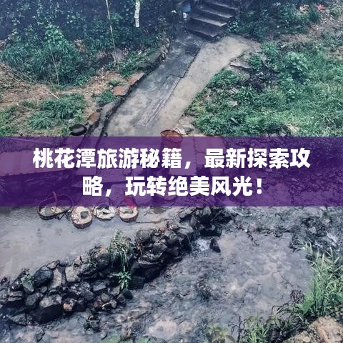 桃花潭旅游秘籍，最新探索攻略，玩轉(zhuǎn)絕美風(fēng)光！
