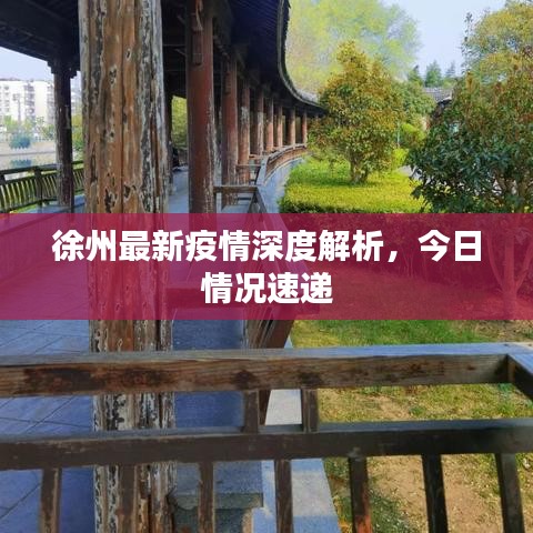 徐州最新疫情深度解析，今日情況速遞