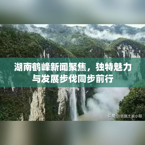 雍容爾雅 第3頁