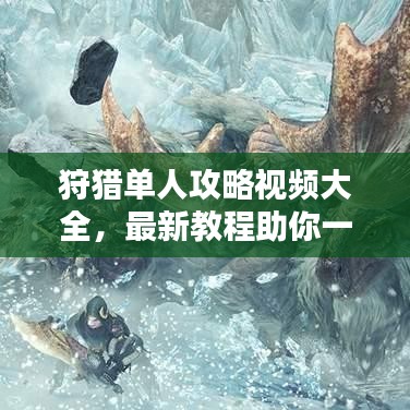 狩獵單人攻略視頻大全，最新教程助你一步步成為狩獵大師！