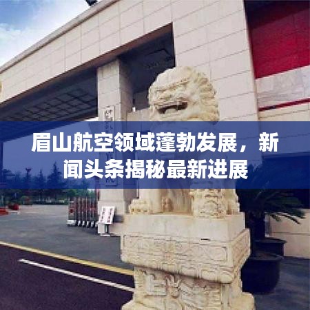 眉山航空領(lǐng)域蓬勃發(fā)展，新聞?lì)^條揭秘最新進(jìn)展
