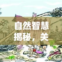 自然智慧揭秘，關(guān)于雨的諺語探秘