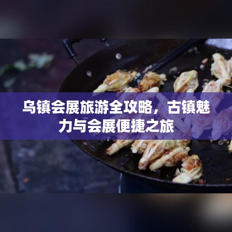 烏鎮(zhèn)會(huì)展旅游全攻略，古鎮(zhèn)魅力與會(huì)展便捷之旅
