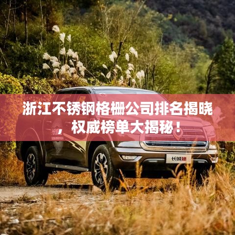 浙江不銹鋼格柵公司排名揭曉，權(quán)威榜單大揭秘！