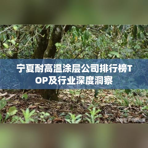 寧夏耐高溫涂層公司排行榜TOP及行業(yè)深度洞察