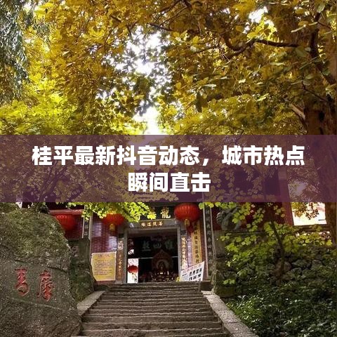桂平最新抖音動(dòng)態(tài)，城市熱點(diǎn)瞬間直擊