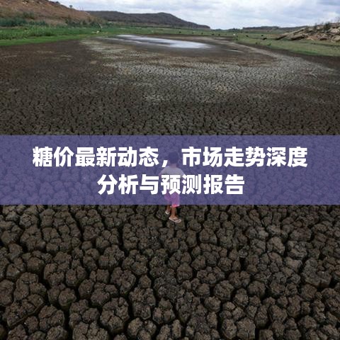 糖價最新動態(tài)，市場走勢深度分析與預測報告