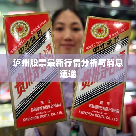 瀘州股票最新行情分析與消息速遞