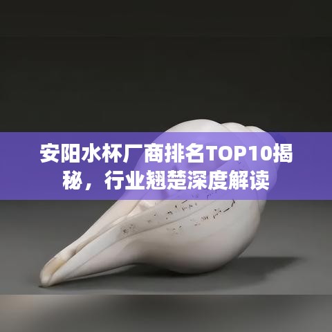 安陽水杯廠商排名TOP10揭秘，行業(yè)翹楚深度解讀