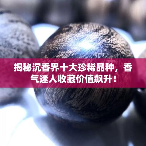 揭秘沉香界十大珍稀品種，香氣迷人收藏價(jià)值飆升！