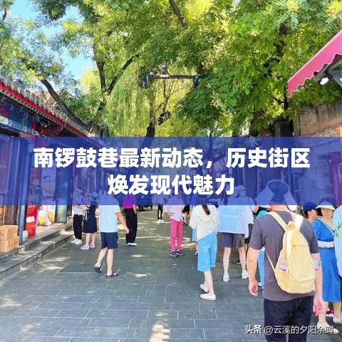 南鑼鼓巷最新動態(tài)，歷史街區(qū)煥發(fā)現(xiàn)代魅力