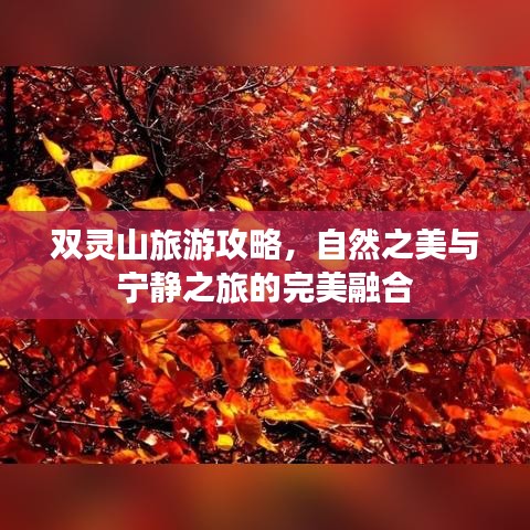 雙靈山旅游攻略，自然之美與寧靜之旅的完美融合