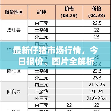 最新仔豬市場行情，今日報價、圖片全解析