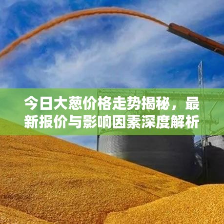 今日大蔥價格走勢揭秘，最新報價與影響因素深度解析