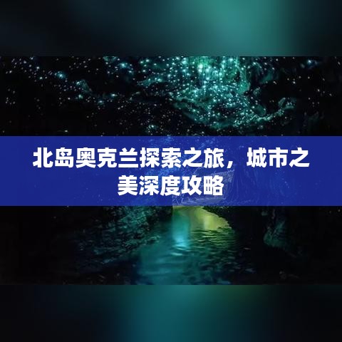 北島奧克蘭探索之旅，城市之美深度攻略