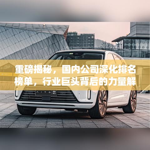 重磅揭秘，國內公司深化排名榜單，行業(yè)巨頭背后的力量解析