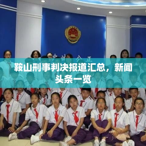 鞍山刑事判決報(bào)道匯總，新聞?lì)^條一覽