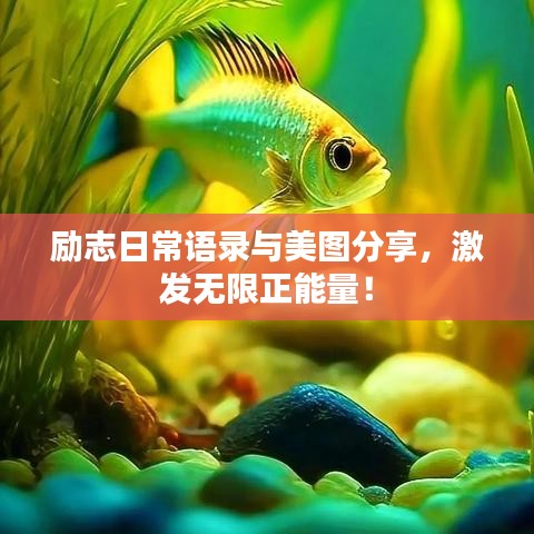 勵(lì)志日常語錄與美圖分享，激發(fā)無限正能量！