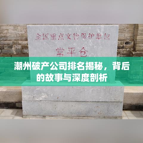 潮州破產(chǎn)公司排名揭秘，背后的故事與深度剖析