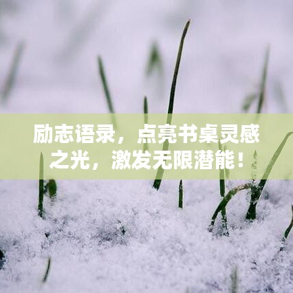 勵(lì)志語(yǔ)錄，點(diǎn)亮?xí)漓`感之光，激發(fā)無(wú)限潛能！