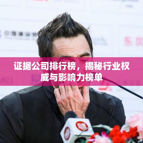 證據(jù)公司排行榜，揭秘行業(yè)權(quán)威與影響力榜單