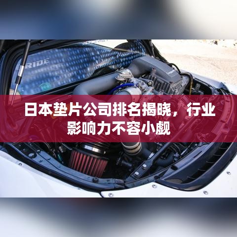 日本墊片公司排名揭曉，行業(yè)影響力不容小覷
